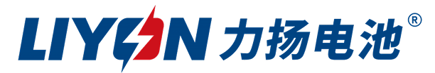 四川力扬工业
